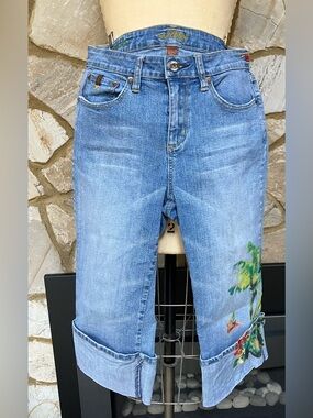 Worn brand Embroidered and Hand Painted Light Blue Women’s Jeans Capris